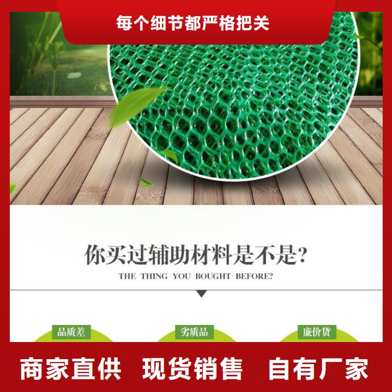 【三维植被网】聚丙烯单丝纤维厂家十分靠谱