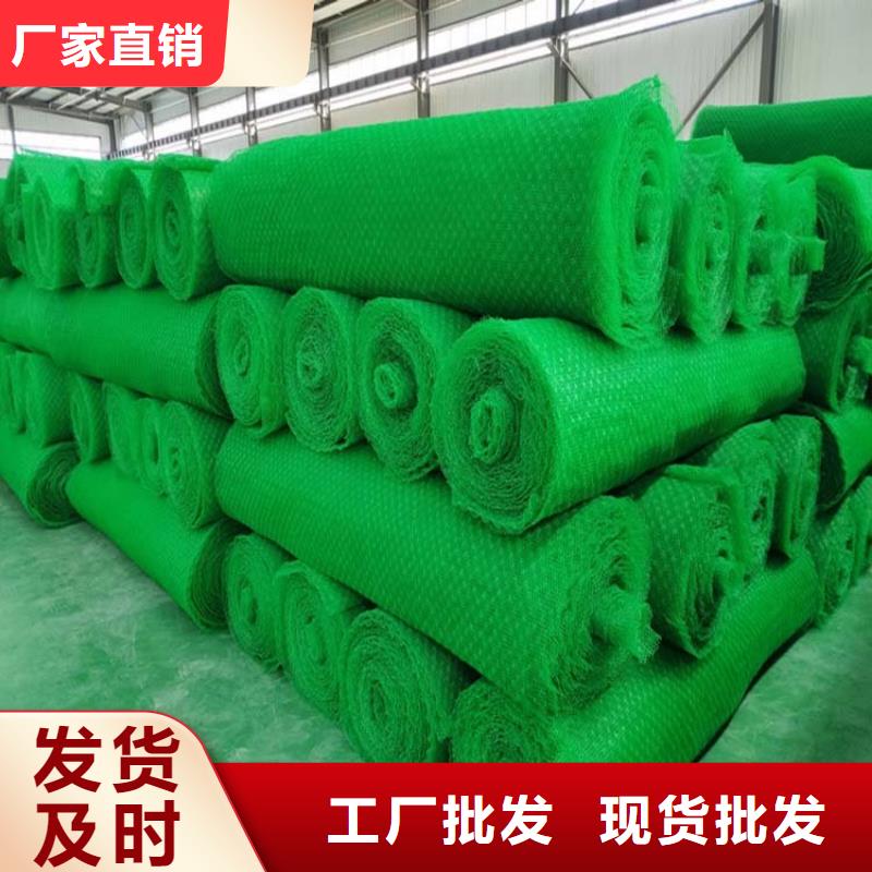 三维土工网植草多少钱一方厂家_三维土工网植草多少钱一方