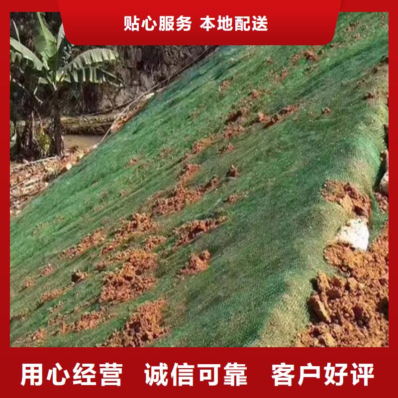三维植被网【排水盲管】质检严格