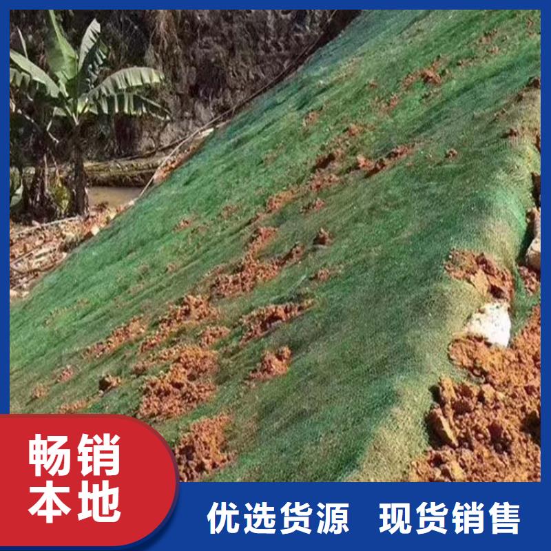 三维植被网护坡报价质量优良