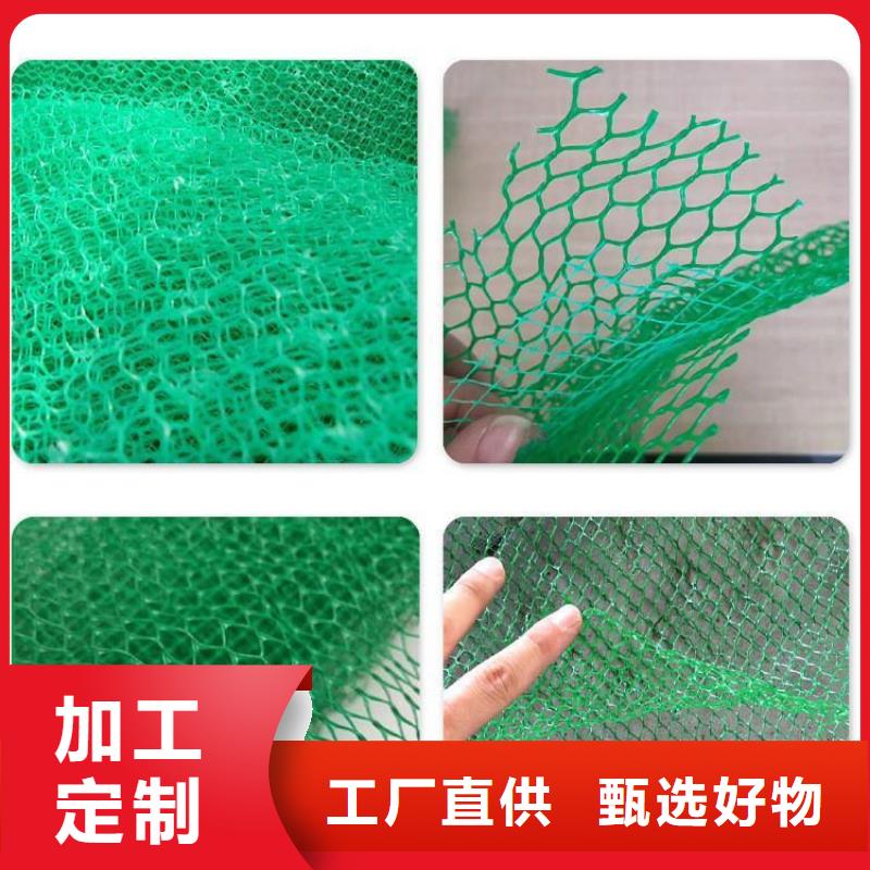 三维植被网批发-欢迎询价