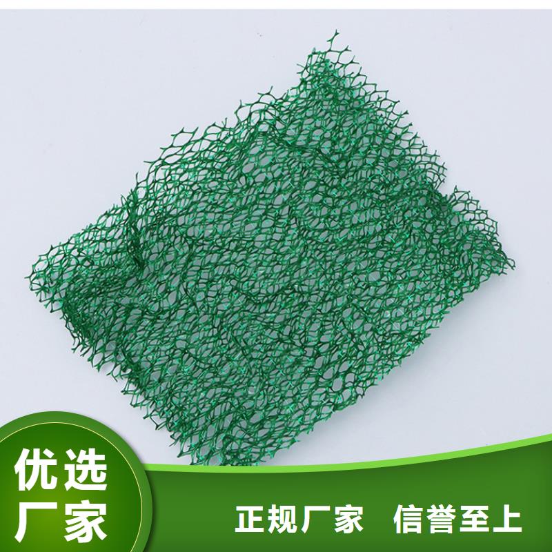 三维植被网铜片止水精工细作品质优良