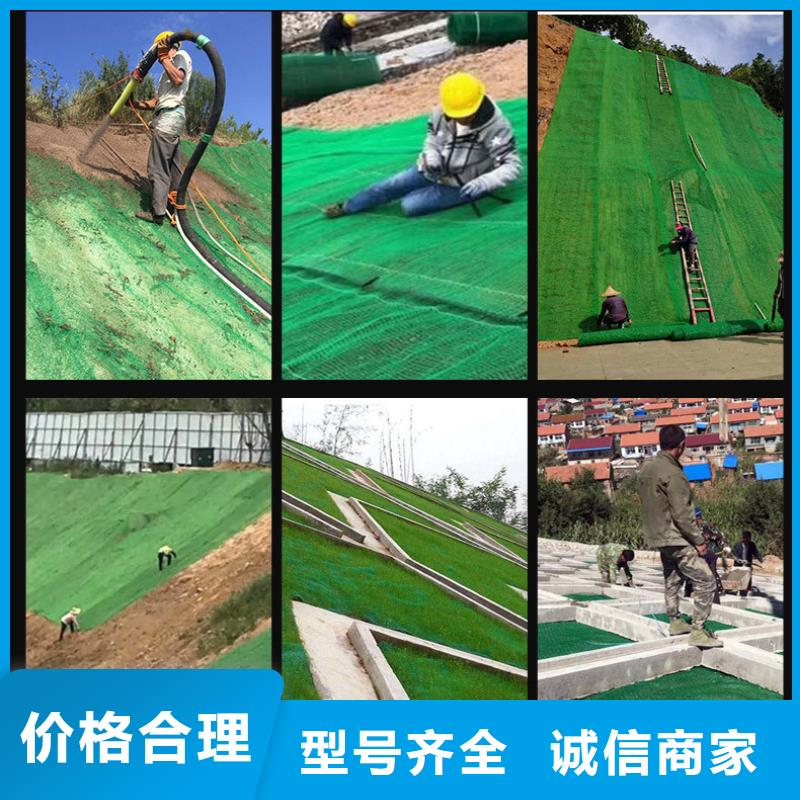 三维植被网土工膜种类齐全