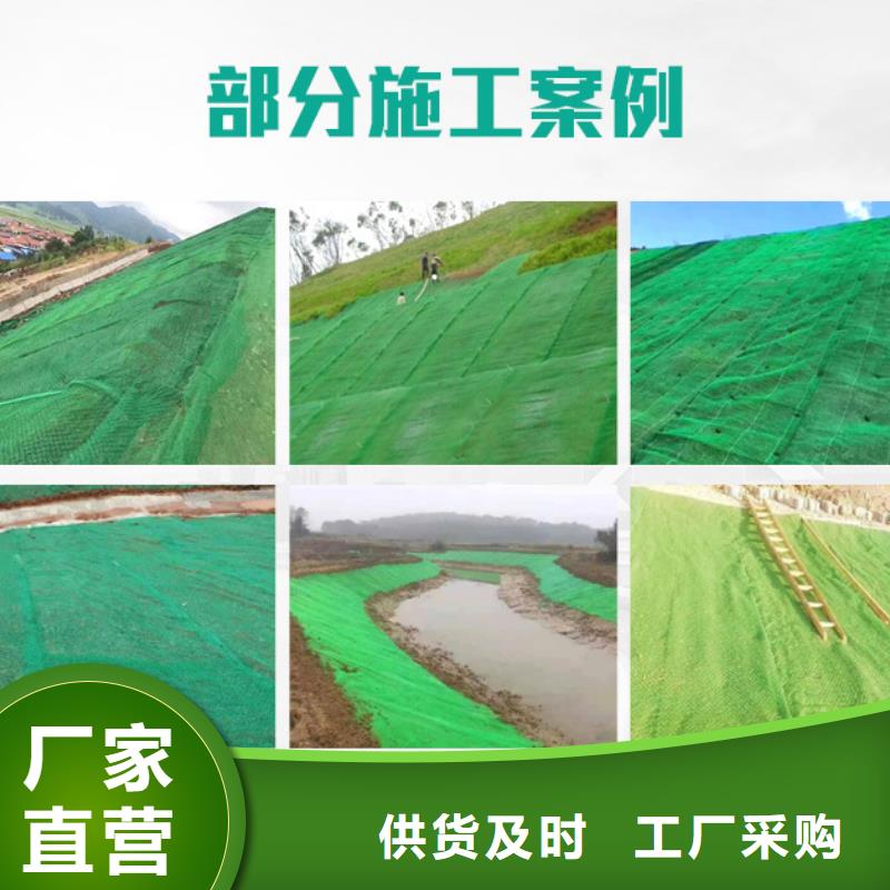 三维土工网植草多少钱一方厂家_三维土工网植草多少钱一方