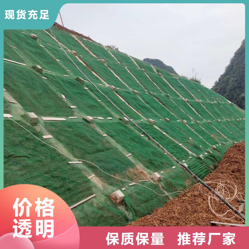 三维植被网护坡报价质量优良