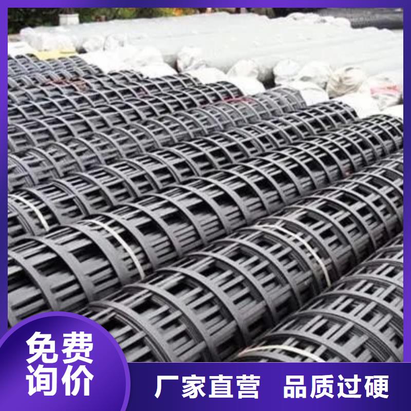 钢塑土工格栅种植基地厂家