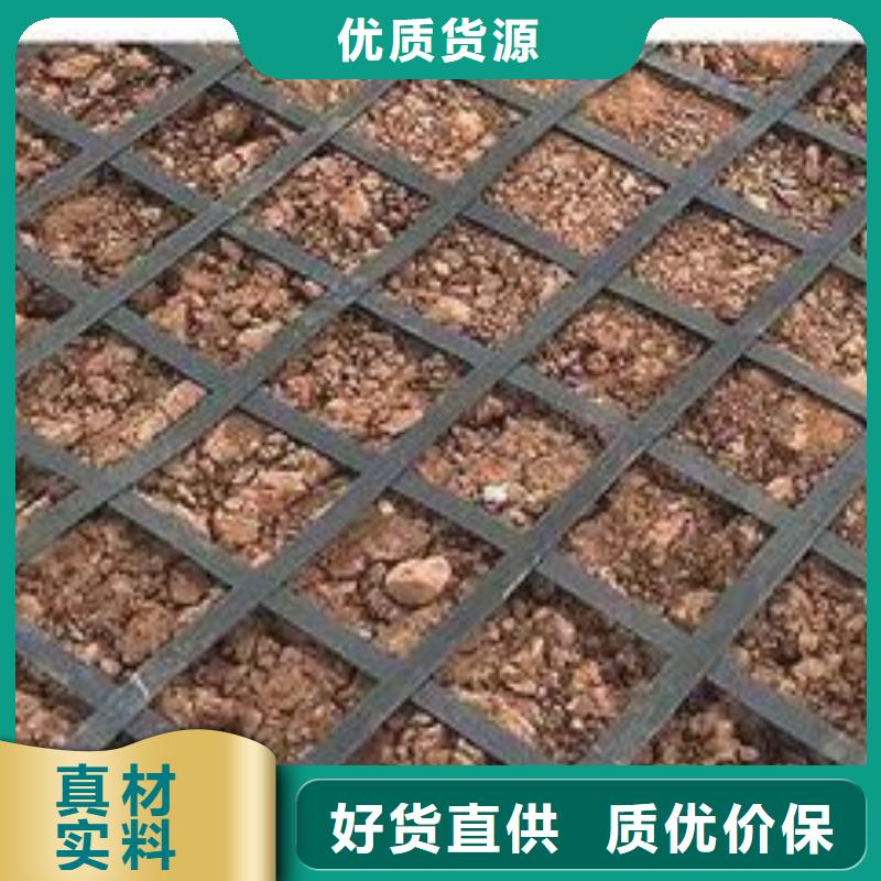 钢塑土工格栅10年经验厂家