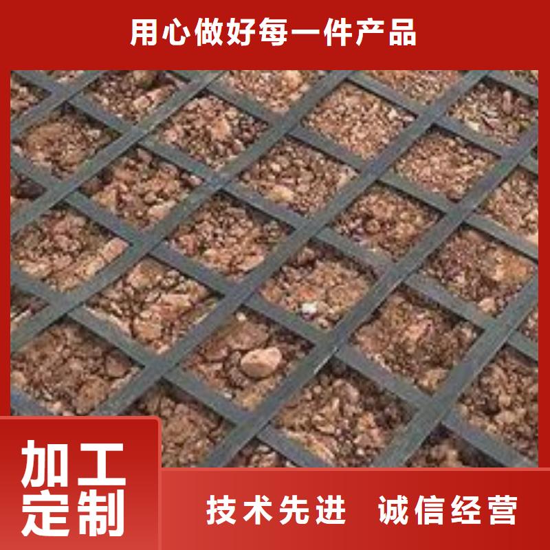 单向土工格栅图片厂家直销