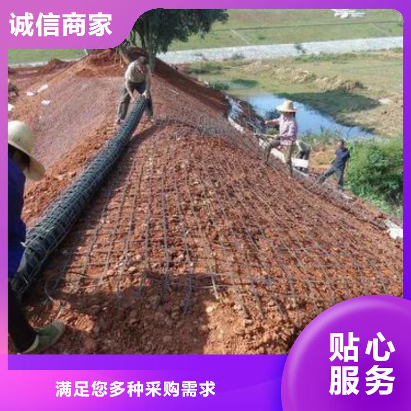 【土工格栅-单壁打孔波纹管细节之处更加用心】