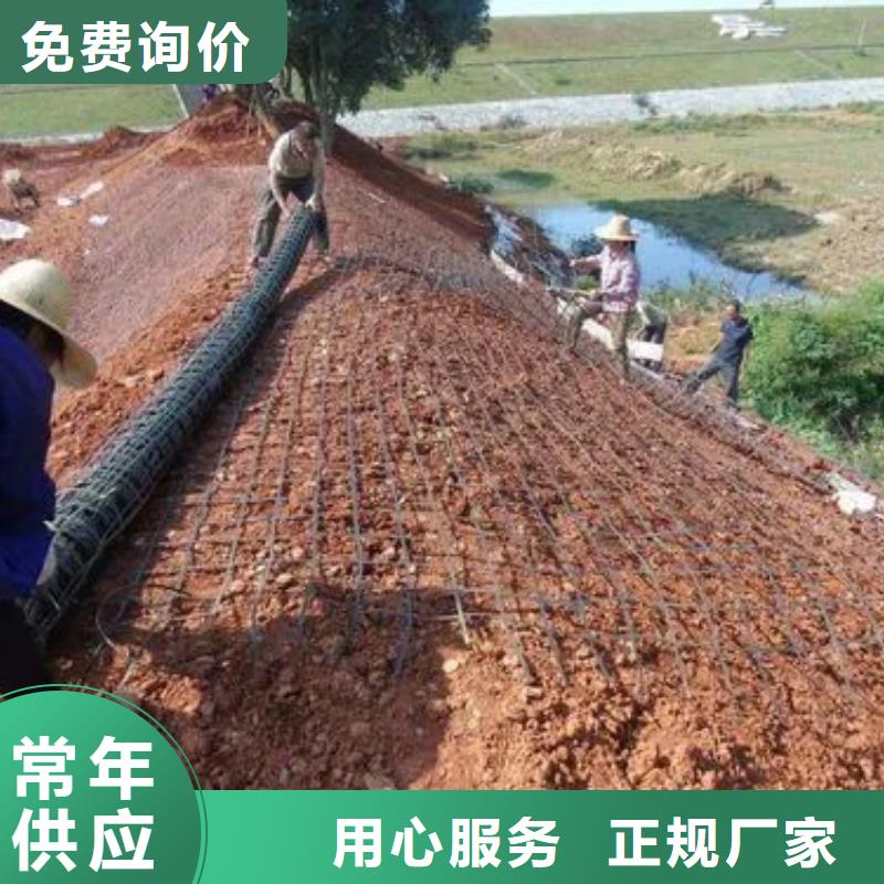 塑料格栅批发电话