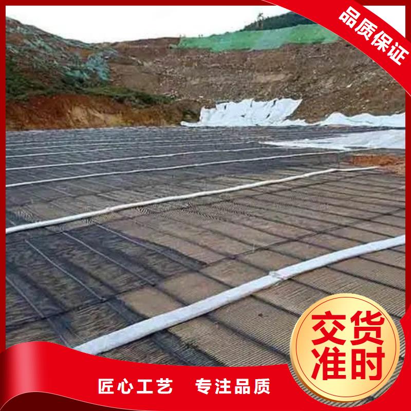 三维土工格栅批发电话