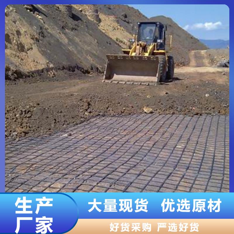 土工格栅图片近期行情价格