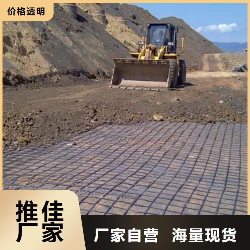 土工格栅【聚丙烯单丝纤维】用心经营