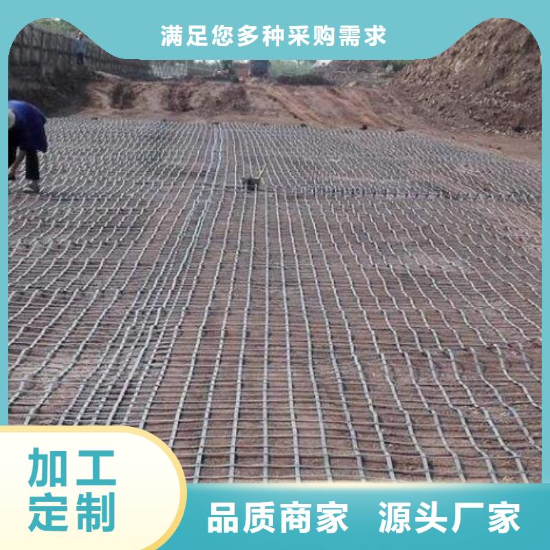 钢塑土工格栅厂家厂家