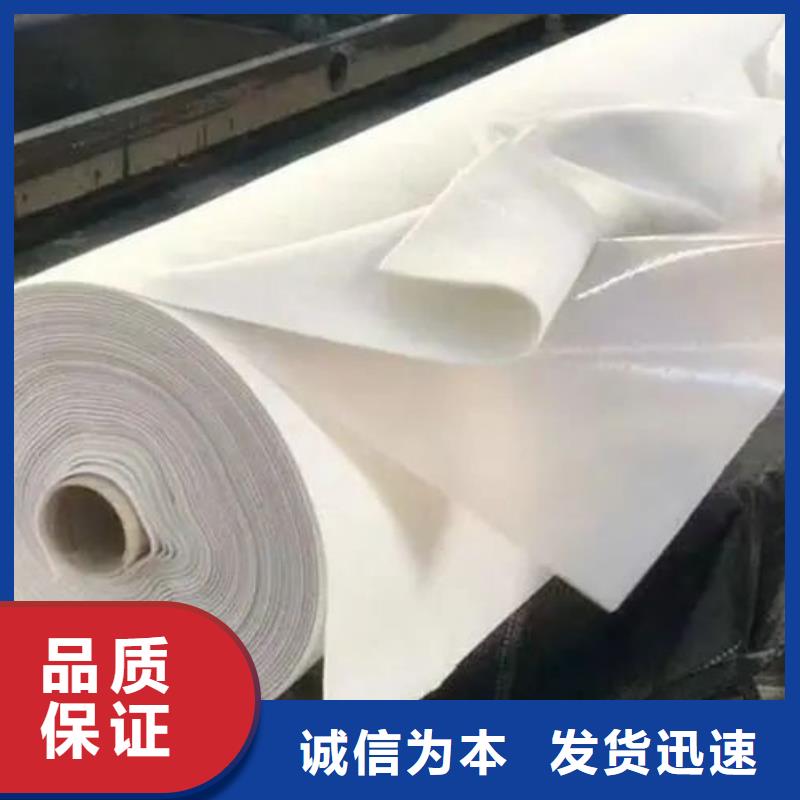 土工布土工格栅当地厂家值得信赖