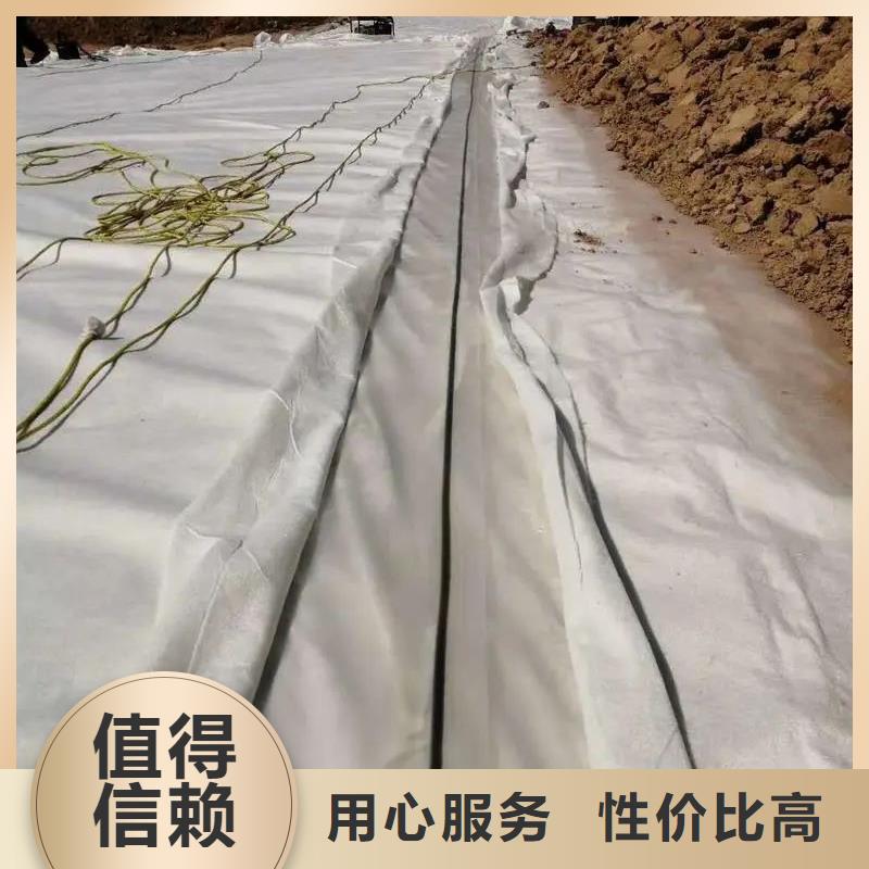 土工布【铜片止水】出货及时