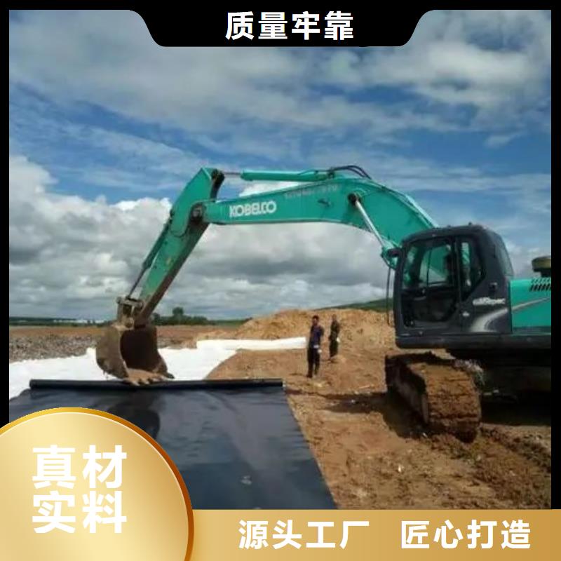 土工布-土工膜今年新款