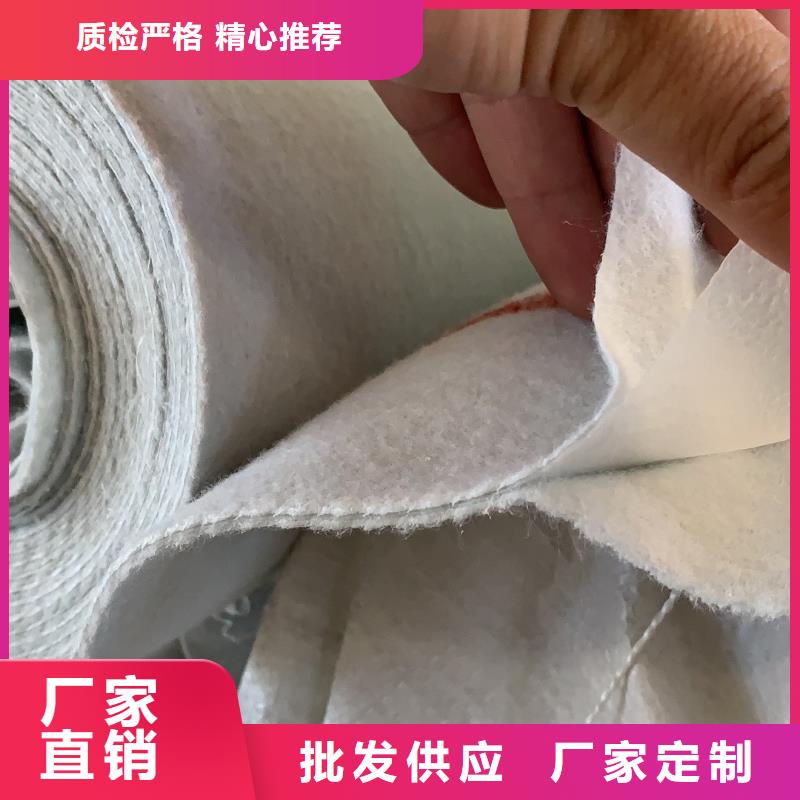 土工布-铜止水实拍展现