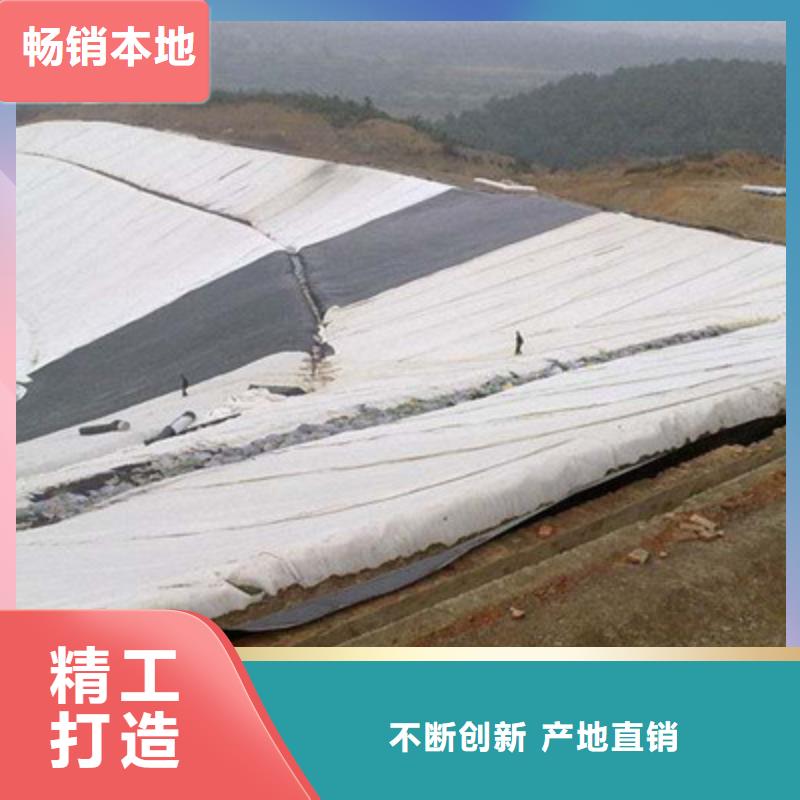 土工布-止水铜片技术先进