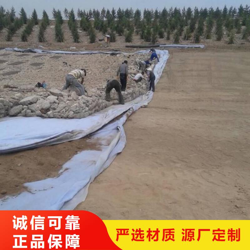 土工布【铜片止水】出货及时