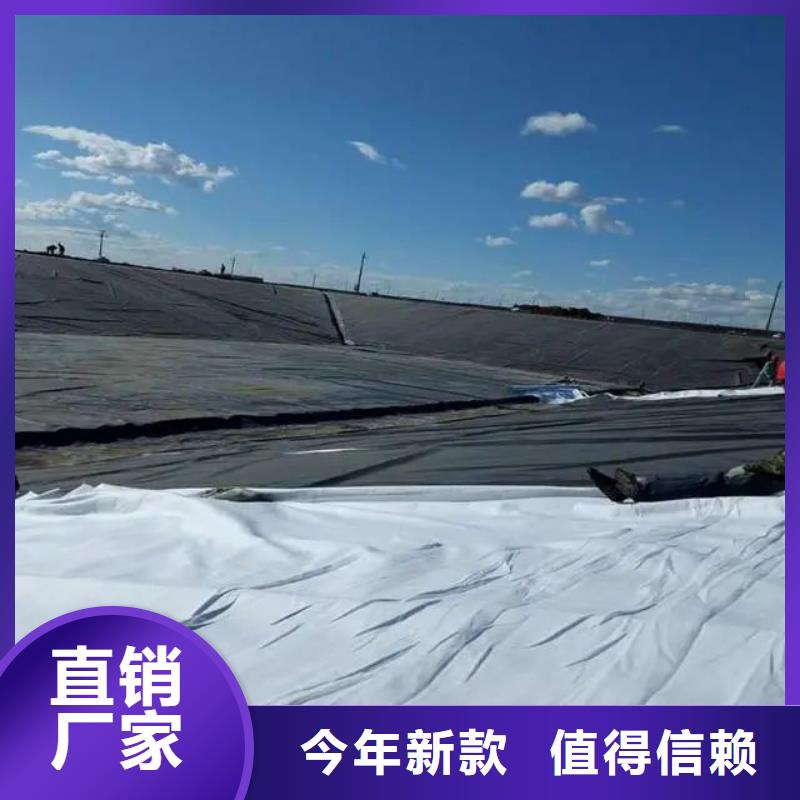 土工布砂浆混凝土纤维实力厂家