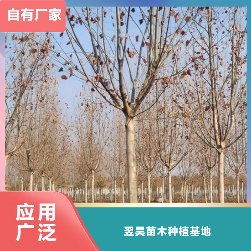 法桐工厂认证