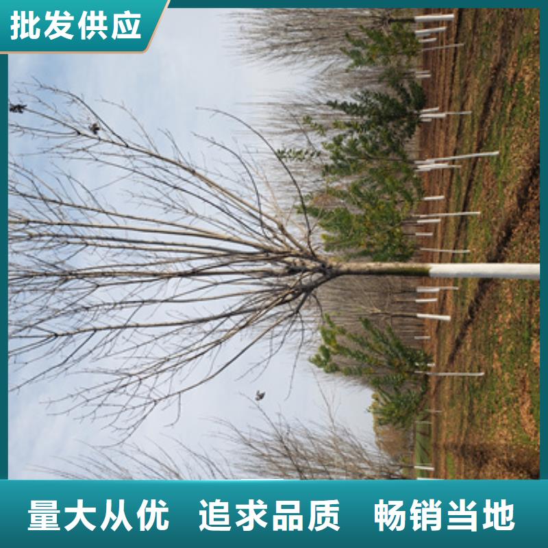法桐用品质赢得客户信赖