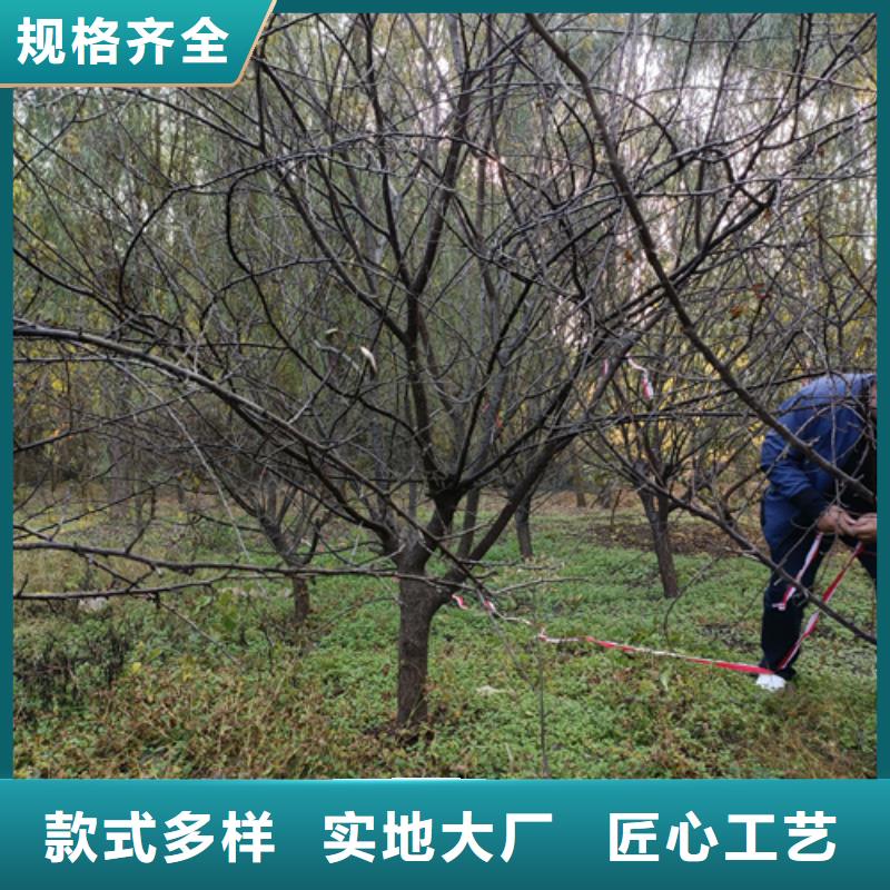 白蜡视频-白蜡|安徽省六安市|金安|霍山|宣城|合肥|滁州|黄山|安庆|淮南