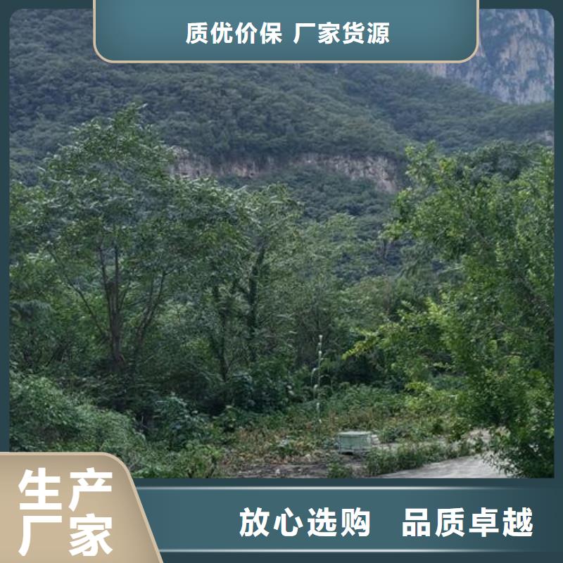 二次构造柱泵源厂供货