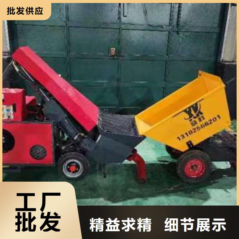晓科二次构造柱泵二次构造柱泵【微型混凝土泵】品质可靠aq00.com