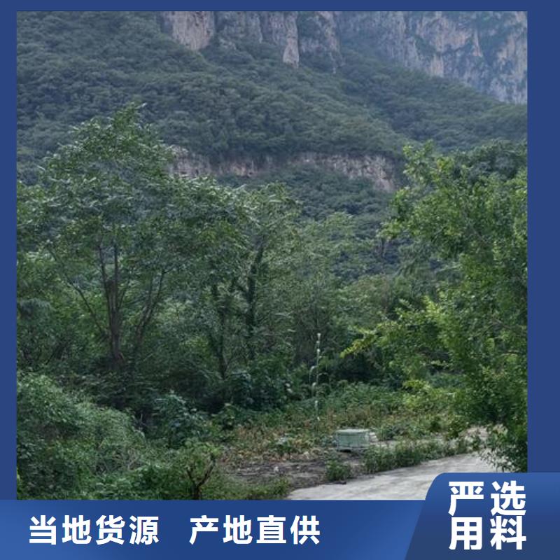 小型混凝土泵微型混凝土泵真材实料诚信经营