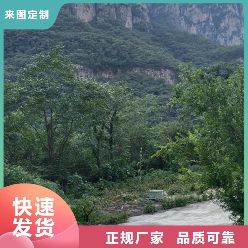 小型混凝土泵构造柱浇筑泵专业厂家