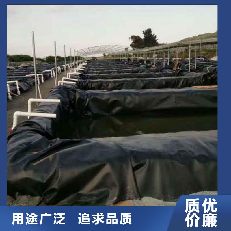 土工膜三维植被网经验丰富质量放心