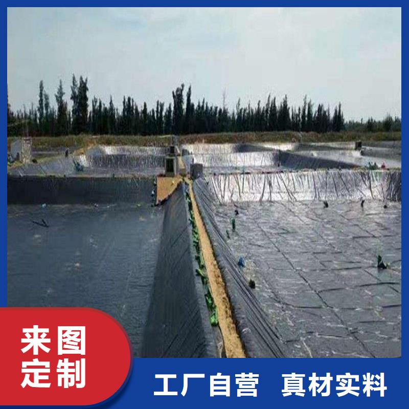 土工膜防渗膜厂家销售