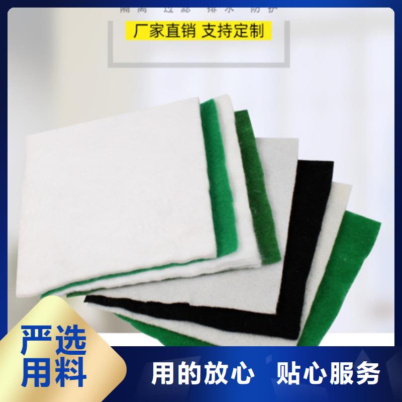 【土工布拉筋带厂家直接面向客户】