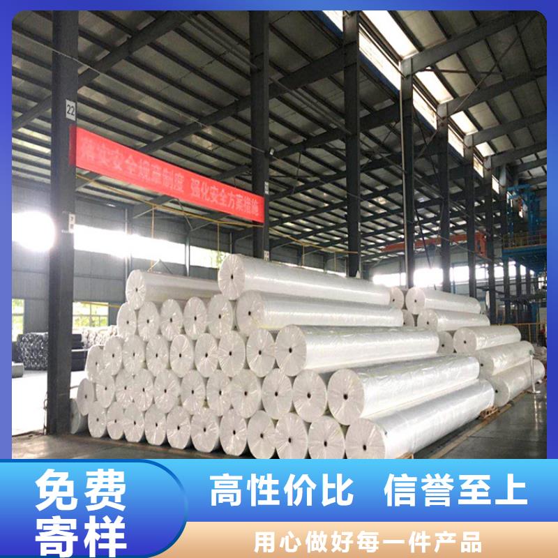 土工布玻纤土工格栅质优价廉