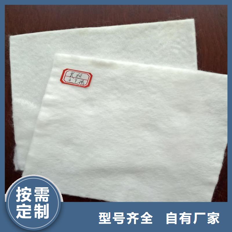 土工布双向塑料土工格栅全品类现货