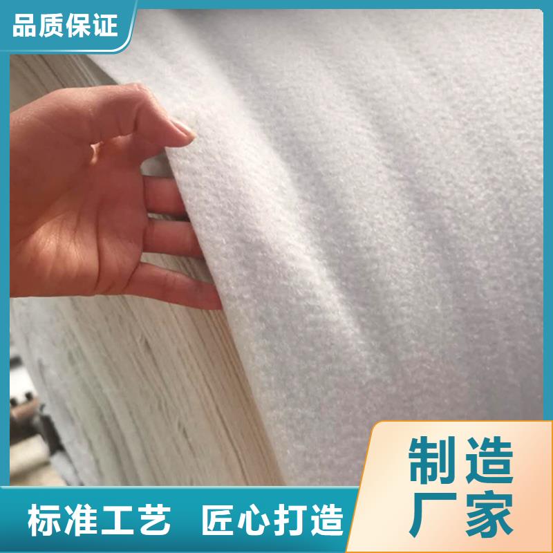 土工布双向塑料土工格栅全品类现货