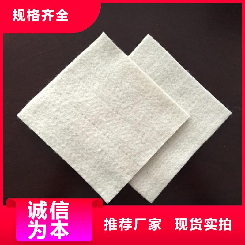 土工布,塑料盲沟厂家精选
