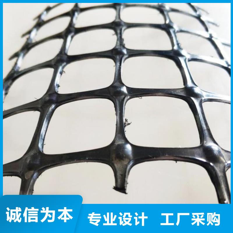 鼎诺【土工格栅】,塑料格栅快速生产-阿奇乐乐