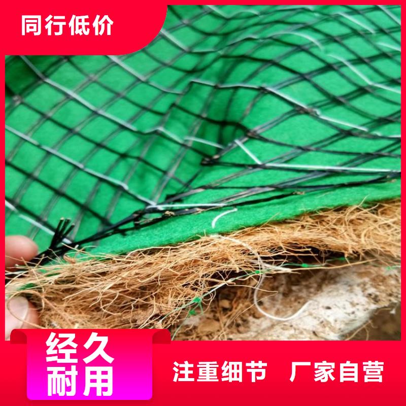 鼎诺【椰丝毯】-土工布购买的是放心-业务覆盖区域|文登|环翠|泰安|菏泽|滨州|青岛|济宁|德州-阿奇乐乐