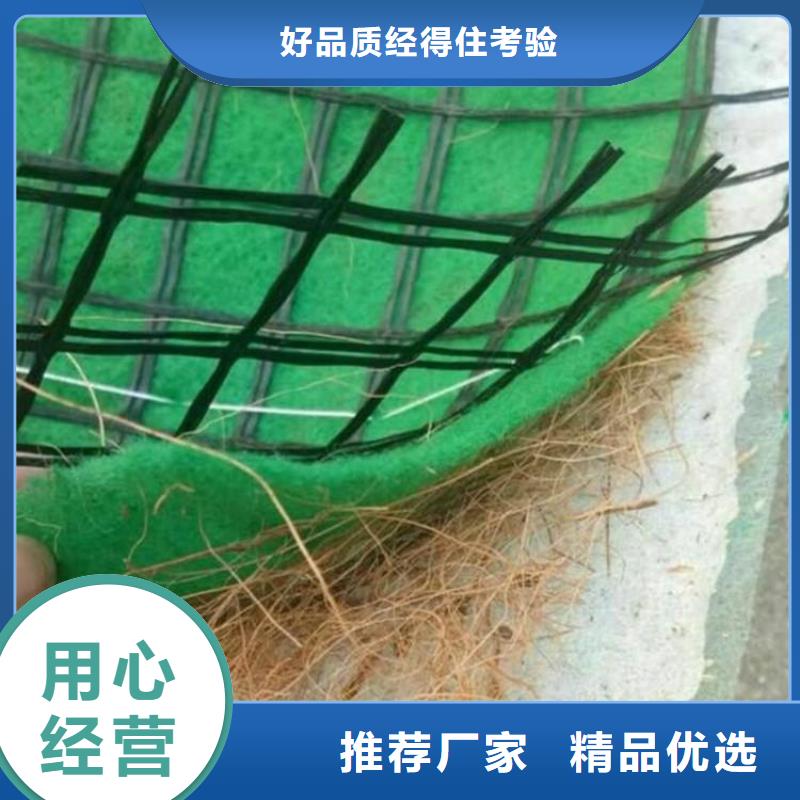 【椰丝毯_塑料盲沟源头厂家直销】