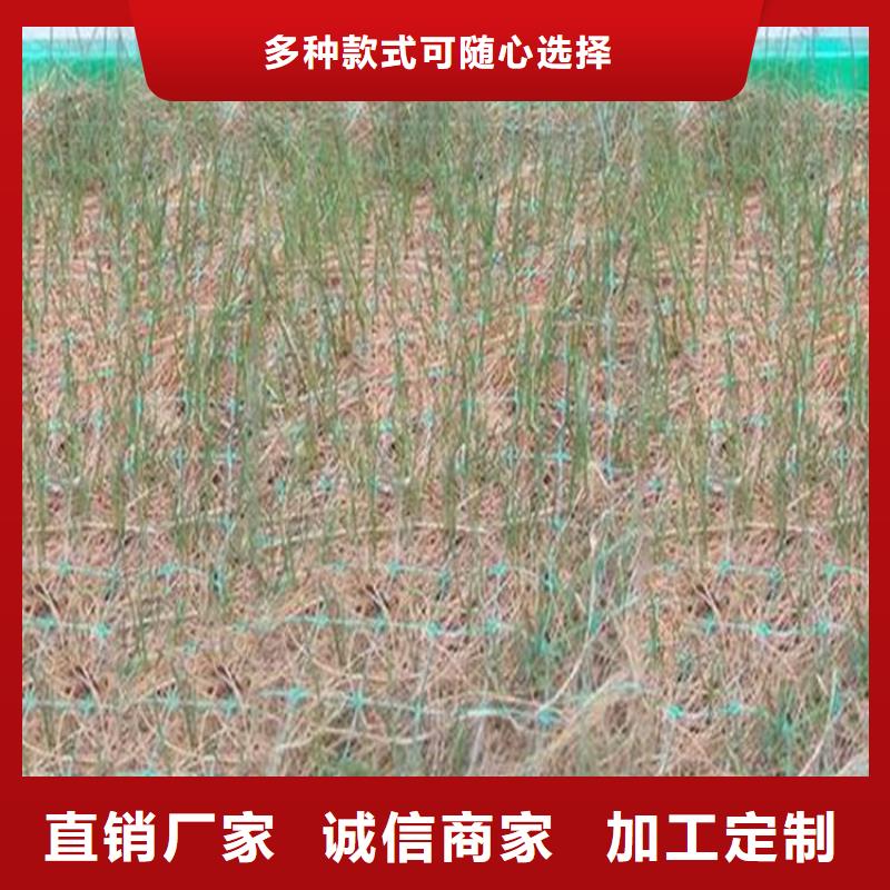 【 椰丝毯_防渗膜诚信商家】-鼎诺土工材料(亳州市分公司)