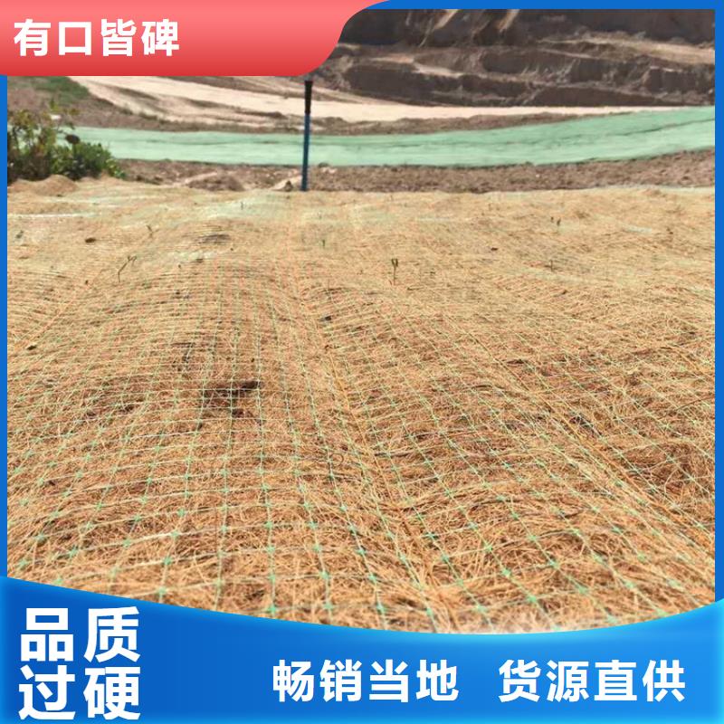 【 椰丝毯_防渗膜诚信商家】-鼎诺土工材料(亳州市分公司)
