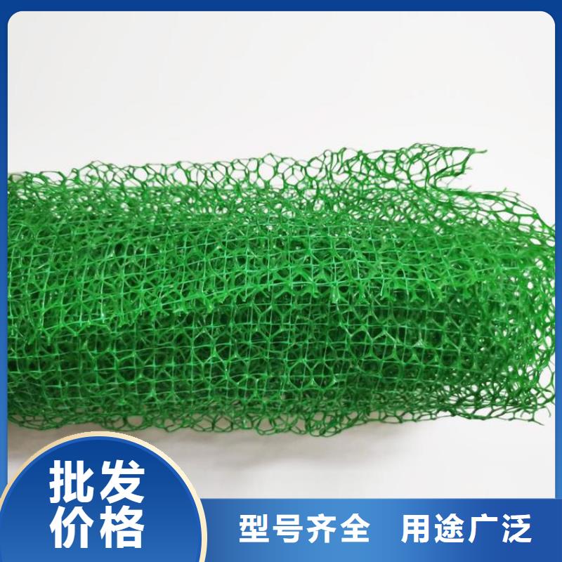 三维植被网土工膜量大更优惠