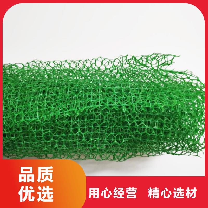三维植被网HDPE土工膜48小时发货