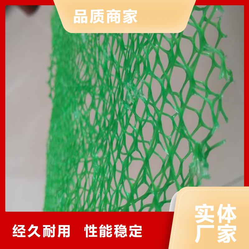 三维植被网玻纤格栅厂家品控严格