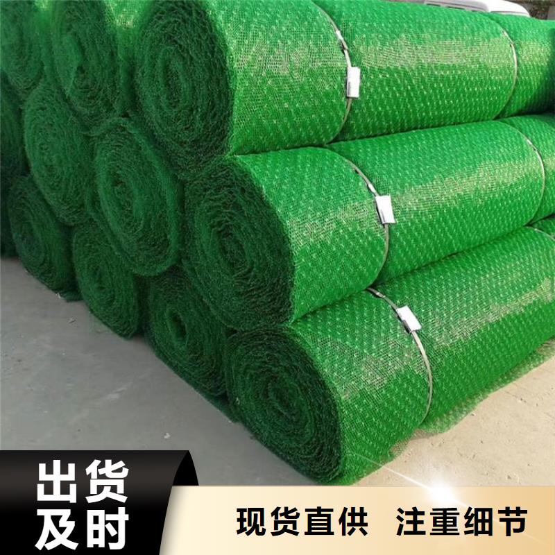 三维植被网软式透水管精心选材