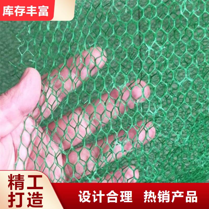 三维植被网土工格栅讲信誉保质量