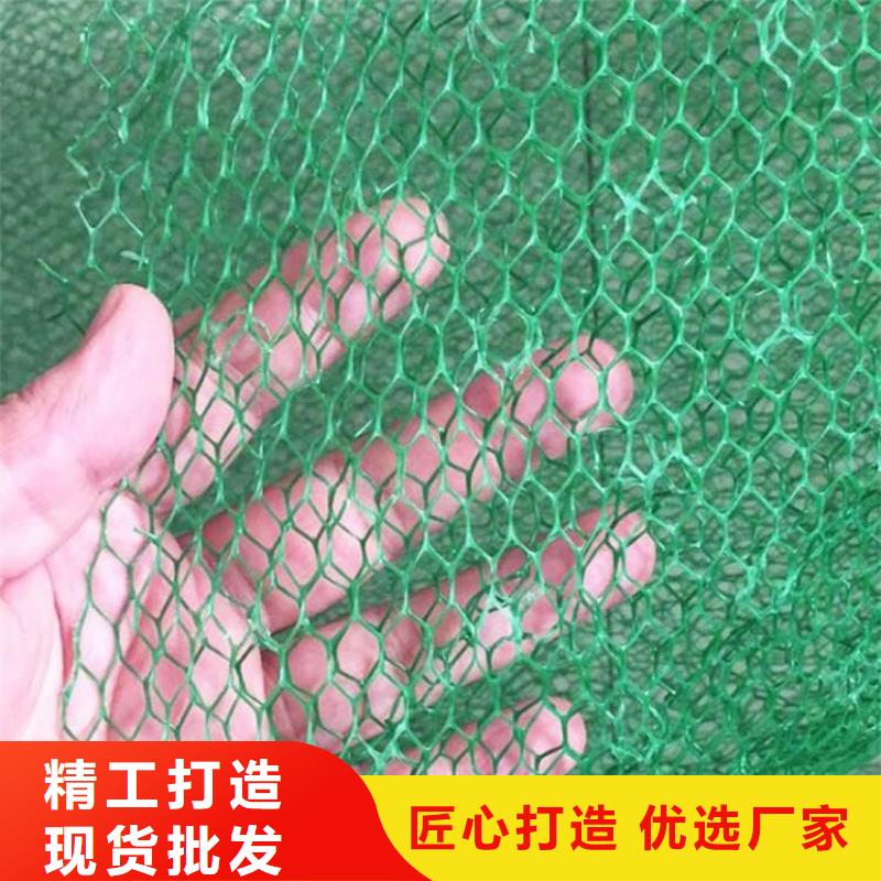三维植被网聚酯布高品质现货销售